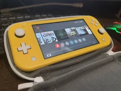 Nintendo Switch Lite ����