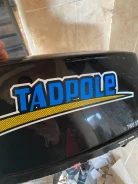 Tadpole. 5��.�., 2-�������, ����������, ���� S (381 ��) ����