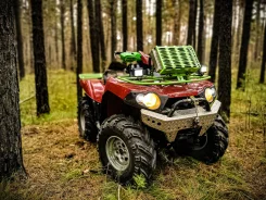 Kawasaki Brute Force 750. ��������, ���� ���\���, � �������� ����