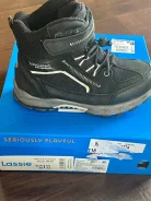 ������ ����� ������� Lassie. 35 ����