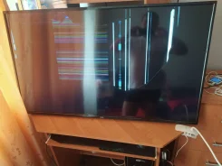 BBK 49LEM-1051/FTS2C. LCD (��) ����
