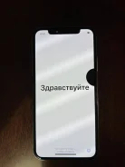Apple iPhone X. �/�, ����� ����