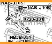     |  / | Febest NABJ10B NABJ10B 