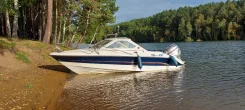 Flipper. 2003 ���, ����� 6,3��., ��������� ���������, 130��.�., ������ ����
