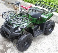 Grizzly 50. ��������, ��� ���\���, ��� ������� ����