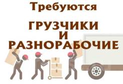 �������-������������. 000 ��� ������. ����������� ����