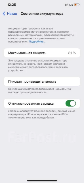 Apple iPhone Xs Max. �/�, �������, 4G LTE, NFC ����