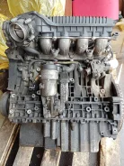 Ford Kuga ����