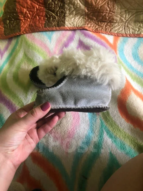 ����. 19.5, 20, 21 ����