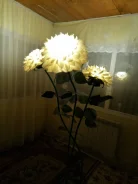 ������ ���������� �� ������� ����