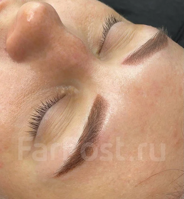 ������. ����