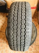 Triangle TR787. ������, ��� �����, �/�, ����� 50 % ����