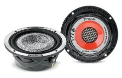 Focal ����