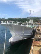 ��������� ����������� ���������� �����. 1986 ���, ����� 19,95��., ��������� ������������, 950��.�., ������ ����