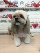 - �������� 1 ������� �������� � ���� � ����� �� �������! ����