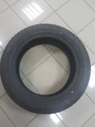 Dunlop SP Winter Sport. ������, �/�, ����� 40�% ����