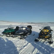 BRP Ski-Doo Expedition. ��������, ��� ���, � �������� ����