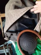 ������. ��������� ��� ��������� ����