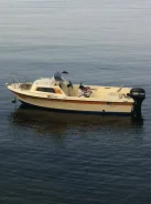 Yamaha Fish 17. 1995 ���, ����� 4,9��., ��������� ���������, 30��.�., ������ ����