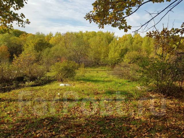 Дачи в гродно продажа с фото