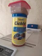 ����. ����