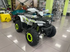 Motoland Wild 125. ��������, ��� ���\���, ��� ������� ����
