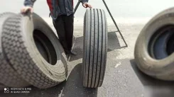 Annaite 786. �����������, 2023 ���, ����� ����