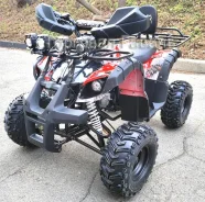 Grizzly 125. ��������, ��� ������� ����