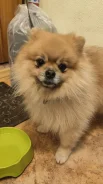 ����. ����