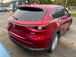 Mazda CX-8. KG2P105392 ����
