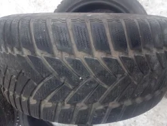Dunlop SP Winter Sport M3. ������, ��� �����, �/�, ����� 20 % ����