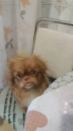 �������. ����