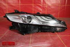 ���� �������� ������ LED (18-) OEM 8114533E11 Toyota Camry XV70 - 8114533E11 ����
