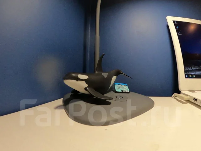 GoPro MAX. � ���������� ����
