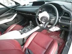 Mazda CX-30. DM8P110610, S8 ����