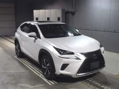 Lexus NX300h. ��������, ��������, 2.5 (152��.�.), ������, 13 000����. ��. ��� ����� �� ������������ ����