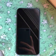 Apple iPhone 11. �/�, ������, 3G, 4G LTE, NFC ����