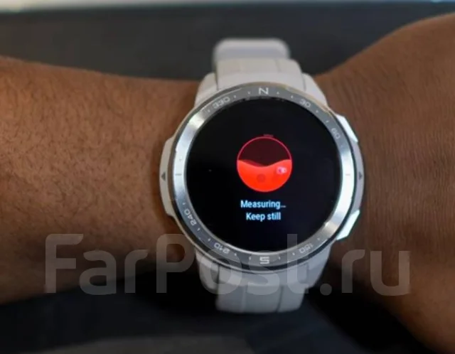 Honor Watch GS Pro. GPS, IP68 ����