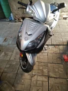 Irbis Nirvana. 150����. ��., ��������, ���, � �������� ����