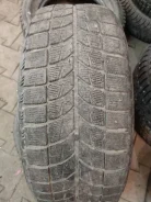 Bridgestone Blizzak WS-60. ������, ��� �����, �/�, ����� 70 % ����
