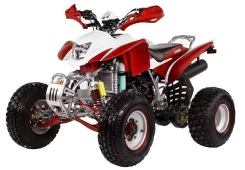 Irbis ATV250S. ��������, ���� ���\���, � �������� ����