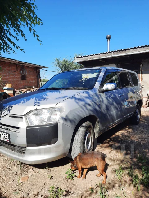Toyota Succeed. ��������, ��������, ������ ����