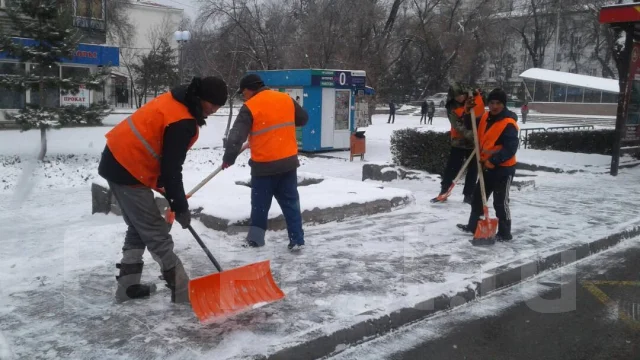 ������ ����� � ���� �������. ����