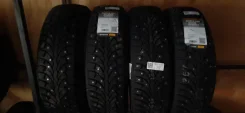 Pirelli Winter Ice Sport. ������, ����������, 2021 ���, ����� ����