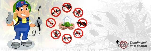 Уничтожение, истребление, травля, обработка от тараканов и др насекомы ...