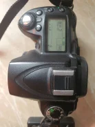 Nikon D90. 10 - 14.9 ��, ���: ��� ���� ����