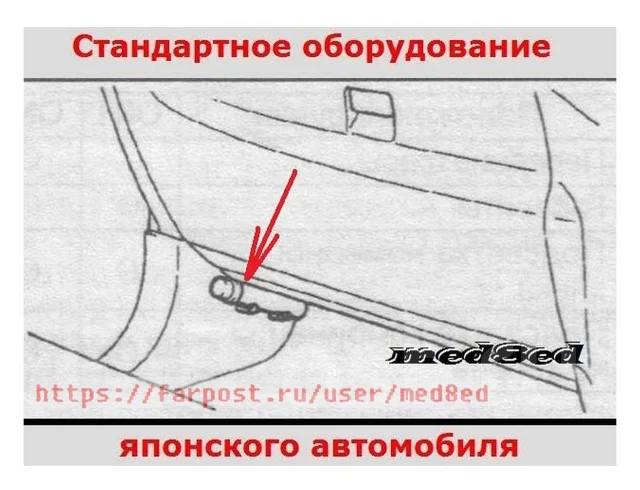 �����������. ����