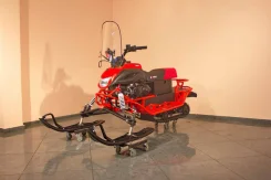 Irbis Dingo T150. ��������, ���� ���, ��� �������. ��� ����� �� ������ ����