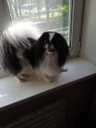 �������� ���. ����