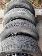 Tigar. ������, ��� �����, 2019 ���, �/�, ����� �� 5�% ����